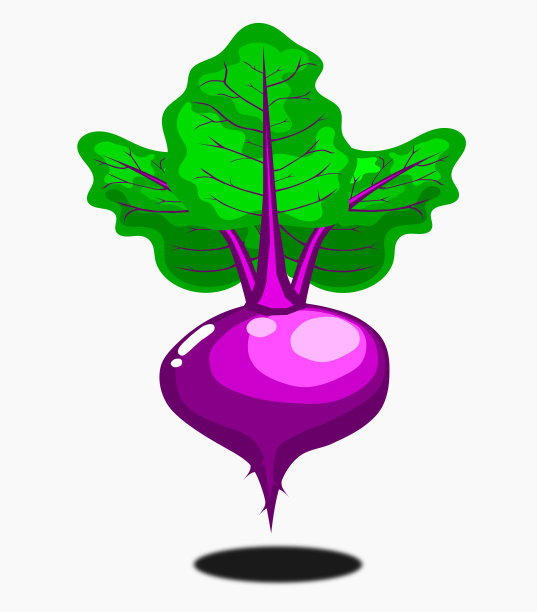 甜菜根与软橙色背景，蔬菜向量。图片下载