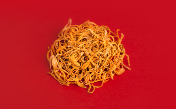 红色背景上的干蛹虫草素材图片