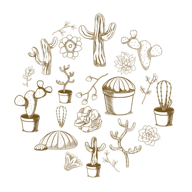 多肉和仙人掌的沙漠植物手绘图片下载