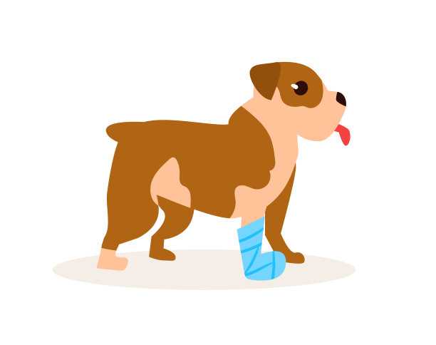 断了一条腿的狗。向量图片下载