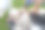 可爱的法国斗牛犬正在洗澡清洗脏皮肤。图片下载