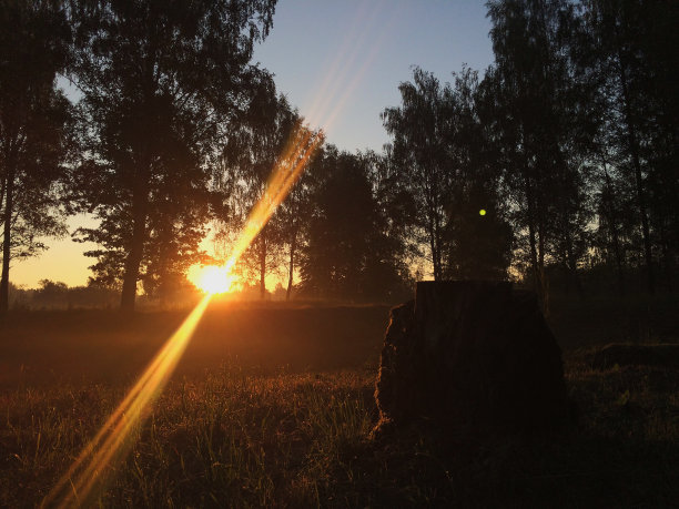 夕阳在田野，橙色图片下载