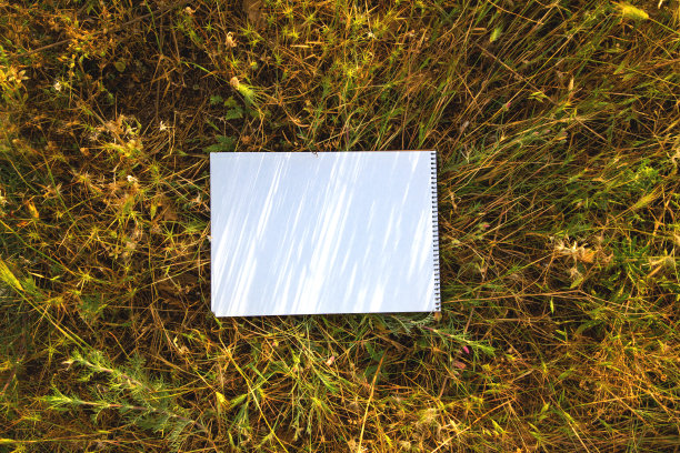 笔记本在田野里新鲜的春天绿草上图片下载