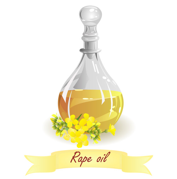菜籽油，矢量插图。图片下载