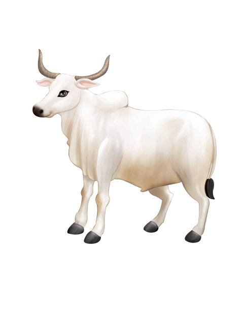 插图为字母图片下载