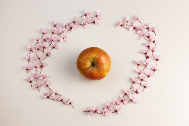 花框里的苹果图片下载