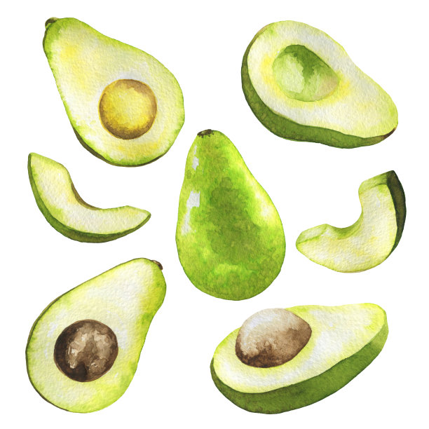 水彩鳄梨组合白色背景图片下载