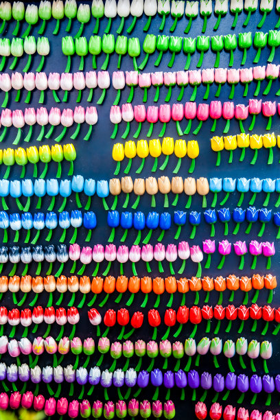 荷兰阿姆斯特丹的纪念品图片下载