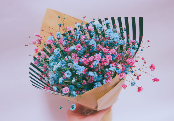 美丽的花干图片下载