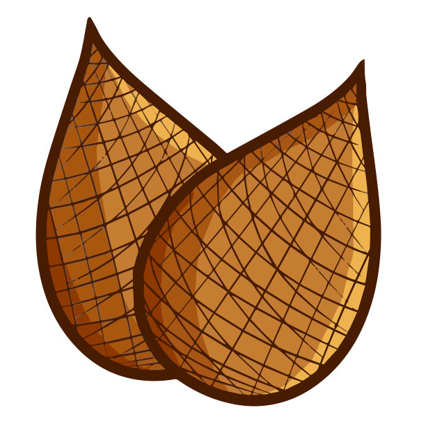 来自印度尼西亚的美味沙拉图片下载