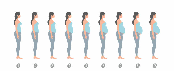 怀孕阶段图片下载