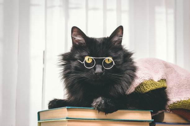 动物的生活。图片下载