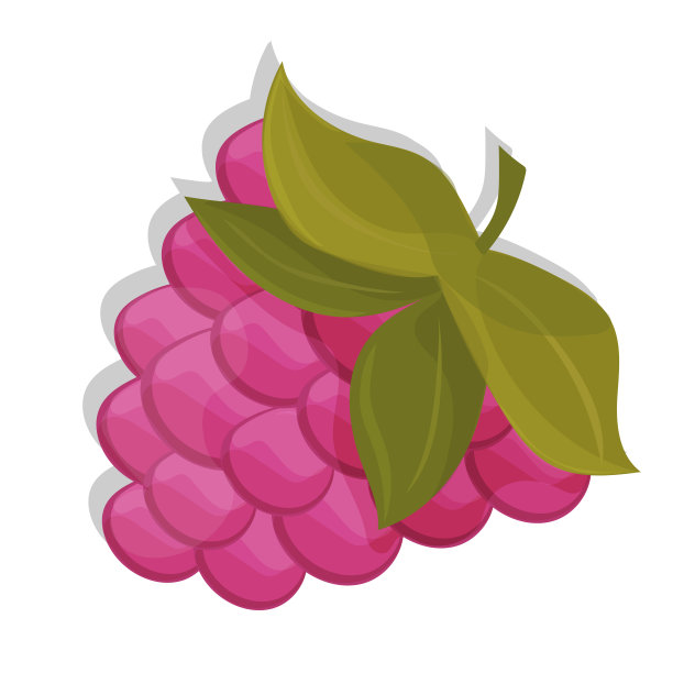 白色背景上孤立的甜浆果。矢量图标。树莓图片下载