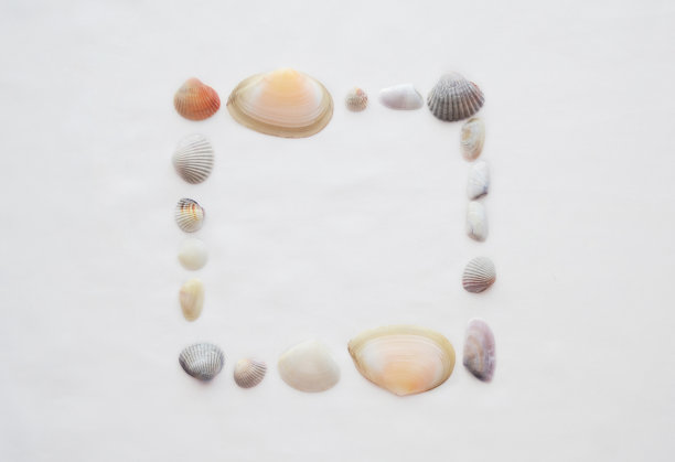白色背景上的贝壳框架。海洋疗法和水疗的背景图片下载