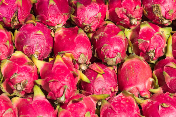 火龙果在市场的摊位上图片下载