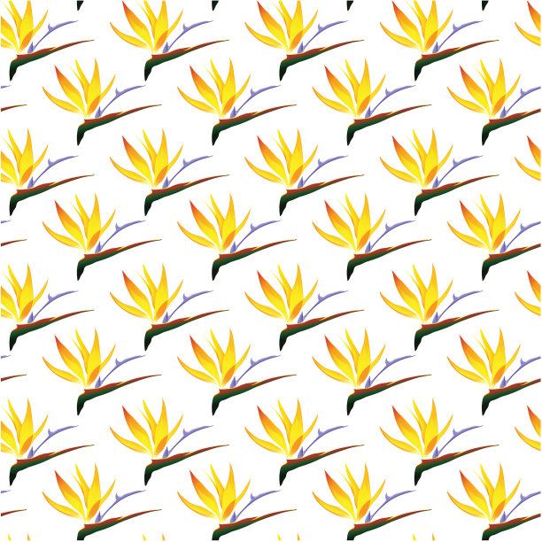 热带设计模板与文本复制空间-自然花/叶无缝模式的背景图片下载