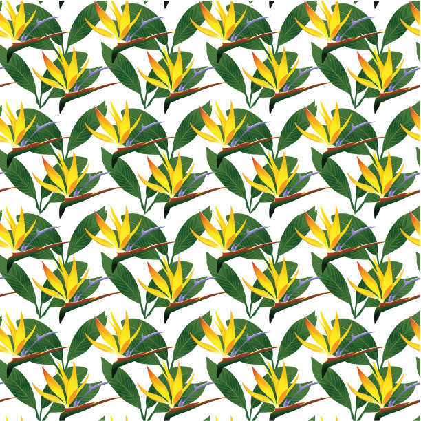 热带设计模板与文本复制空间-自然花/叶无缝模式的背景图片下载