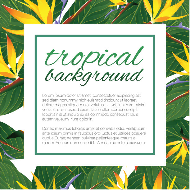 热带设计模板与文本复制空间-自然花/叶无缝模式的背景图片下载