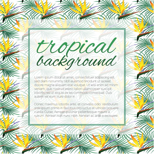 热带设计模板与文本复制空间-自然花/叶无缝模式的背景图片下载