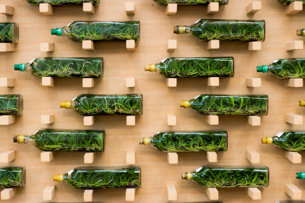 背景墙纸墙上的一瓶树苗兰花素材图片