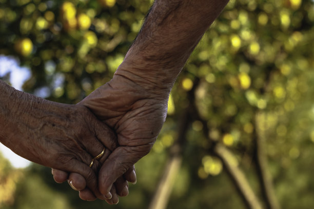 岁月的爱图片下载