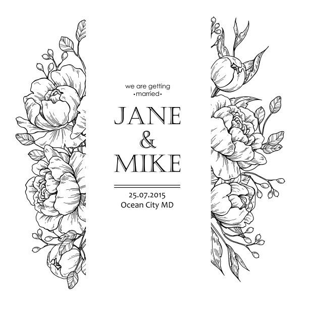 花的边界。Vector牡丹和玫瑰植物绘图。孤立的草图图片下载