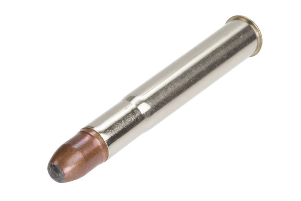 狩猎非洲大五游戏-大口径子弹图片下载