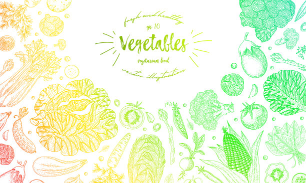 有机食品设计模板。新鲜多彩的蔬菜。详细的素食图。农贸市场产品。伟大的标签，设计菜单，食谱，海报，包装设计，包装纸。图片下载