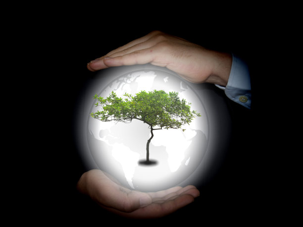 概念绿色世界照片，男人在你的手中，并持有的树图片下载