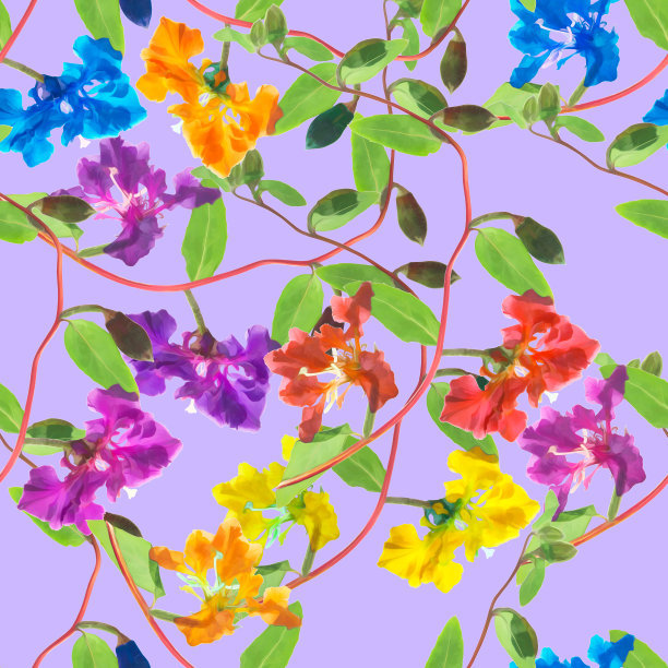 山字草。花型纹理无缝。花背景，照片拼贴图片下载