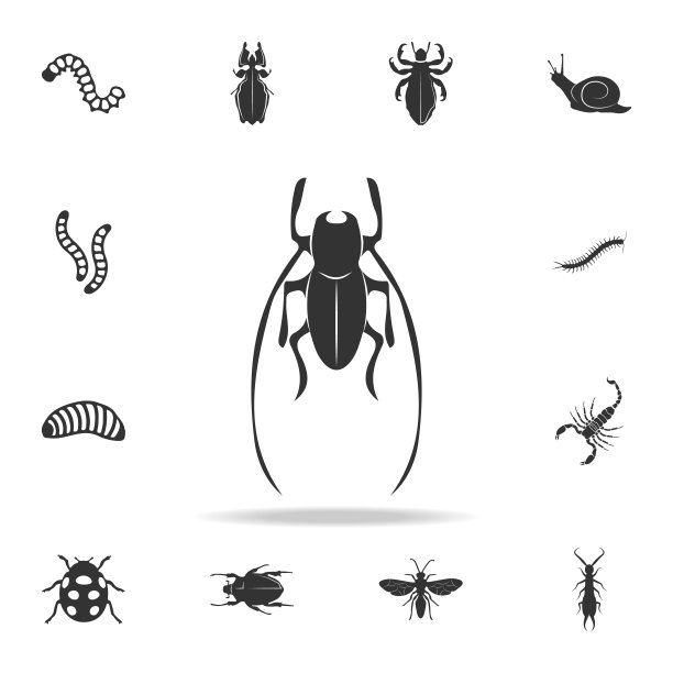 板球。详细设置的昆虫项目图标。优质的平面设计。收藏图标之一的网站，网页设计，移动应用程序图片下载