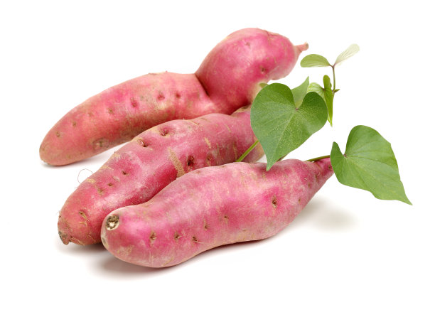 白底上有叶子的甘薯图片下载