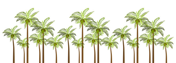 矢量棕榈树插图为您的业务。白色背景上孤立的棕榈树。图片下载
