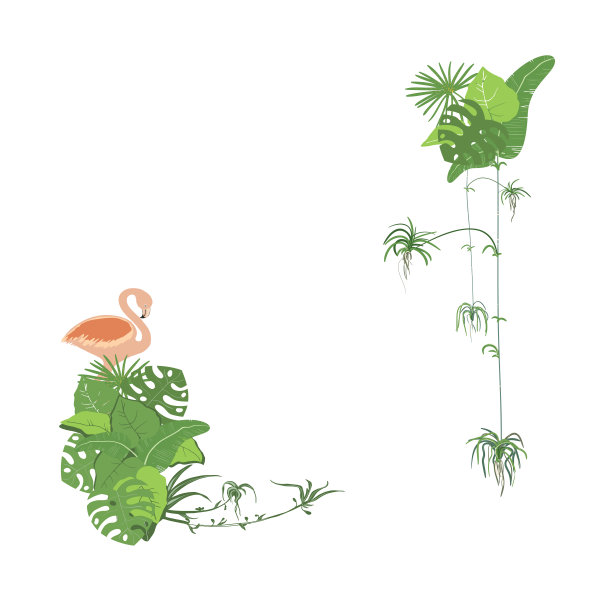 矢量框架的热带树叶和粉红色火烈鸟装饰在任何领域的设计。图片下载