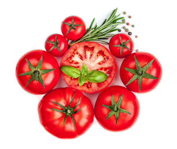新鲜西红柿，罗勒叶和迷迭香孤立在白色背景，靠近。食物配料烹饪食谱，俯视图图片下载