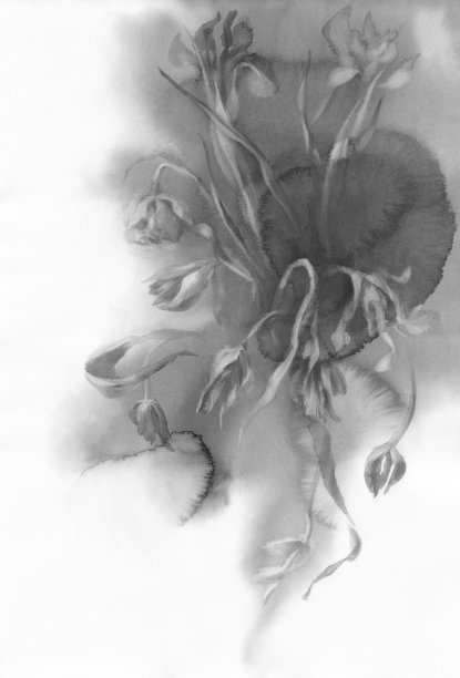 干花在灰色水彩背景图片下载