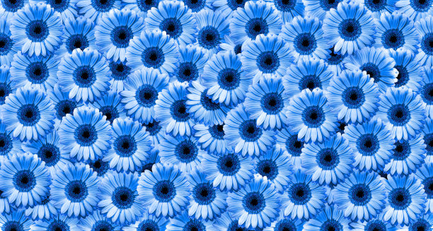 蓝色花朵图案图片下载