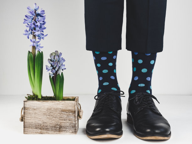 时髦的鞋子，明亮的袜子和植物图片下载