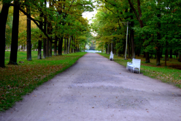 秋天。一个公园。晴朗的日子。图片下载