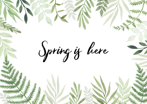 向量水彩插图。春天来了。植物框架，绿叶，树枝和草本植物。花的设计元素。完美的邀请，贺卡，印刷品，海报，包装图片下载