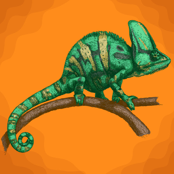 雕刻变色龙插图图片下载