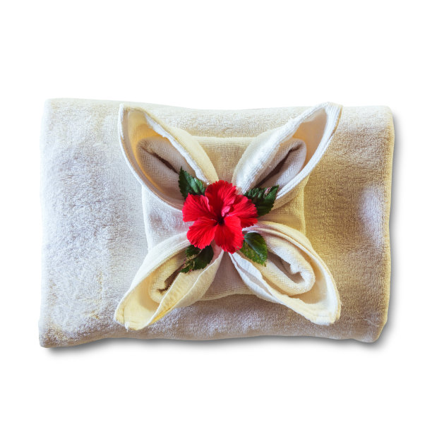 近景:白毛巾配红月季花。图片下载