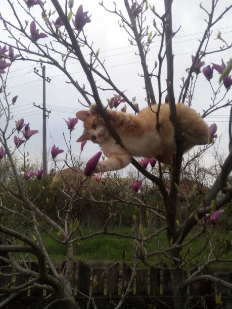 伸展运动图片下载