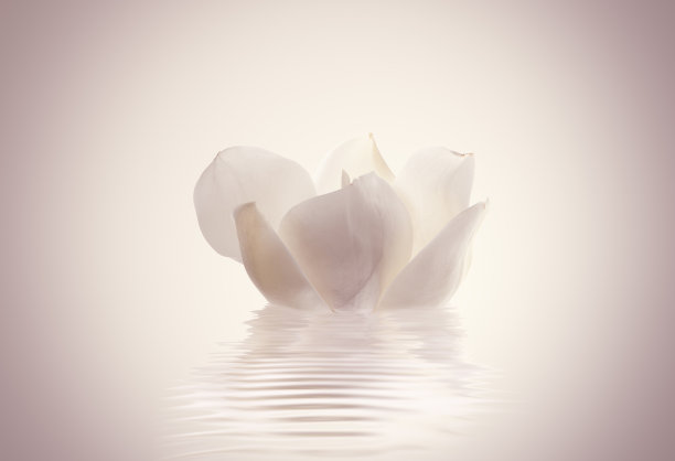 石头和花温泉与水图片下载