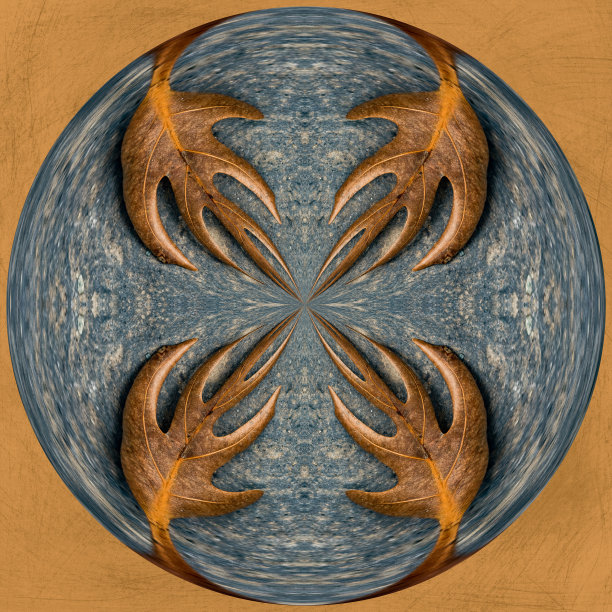 数字艺术:一个球体里的四片干叶子图片下载