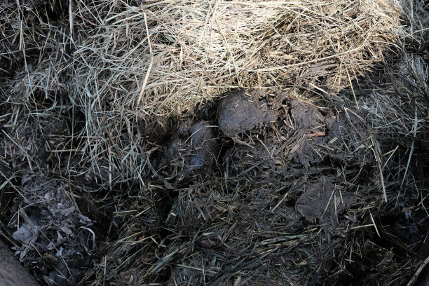 详细的肥料图片下载