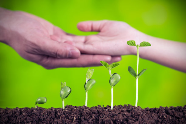 种植前父亲牵着女儿的手图片下载