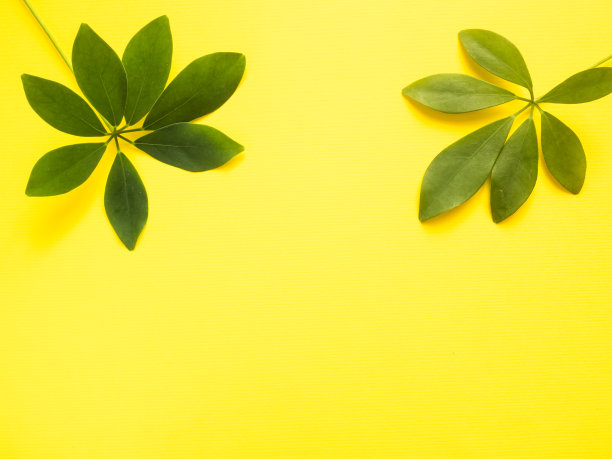 黄色背景素材ID：316640766