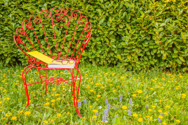 在长满野花的草地上看书图片下载