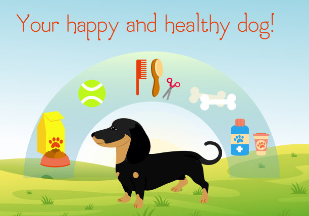 矢量插图狗在绿色草地上与一套配件的狗。收集宠物符号。健康和快乐的狗概念在平面卡通风格。图片下载